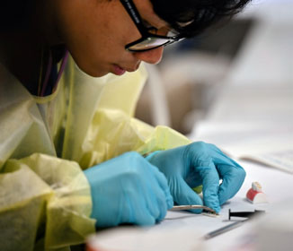 Predental student in scrubs working with dental tools