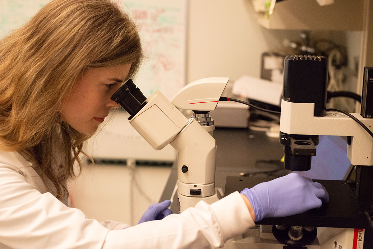 UW ARC Scholar - woman at microscope