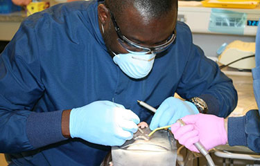 Student performs dental exam