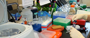 Hands of researcher in lab