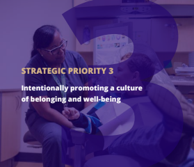 Screen shot of Strategic Priority 3