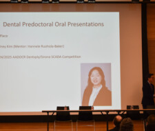 Presentation screen