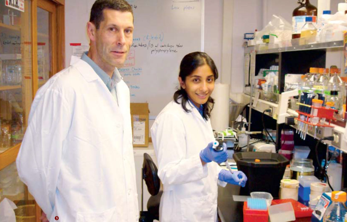 Graduate and Postdoctoral Programs UW School of Dentistry