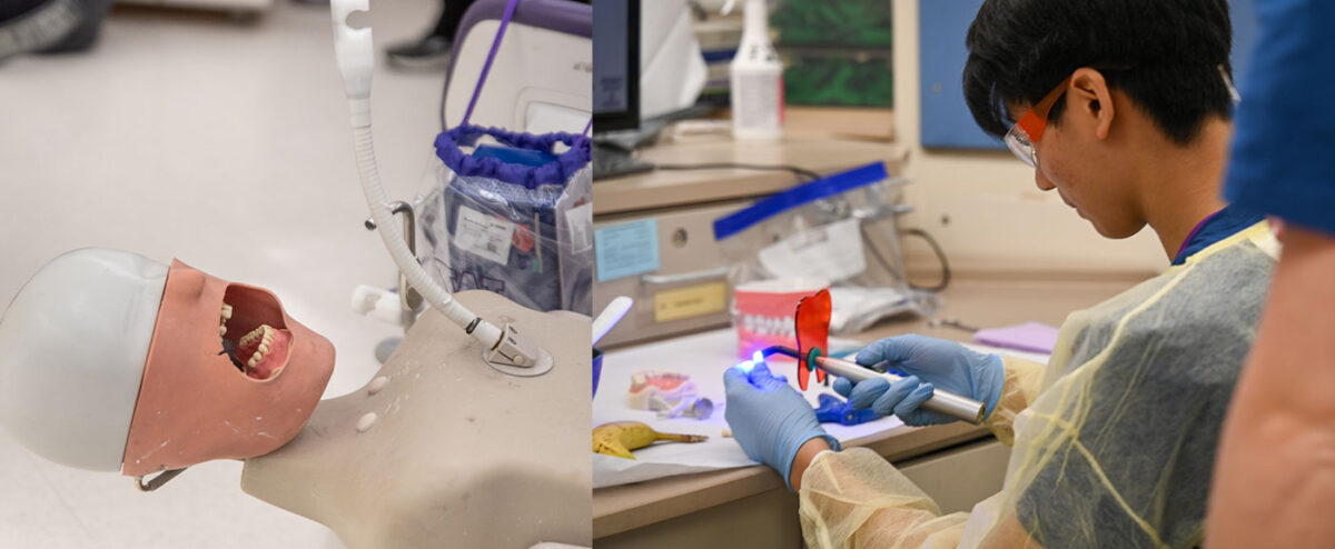 Dental Academy study in lab on left, dummy head on left
