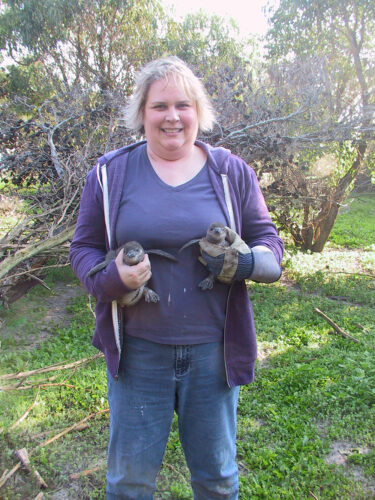 Dr. Reinke on South Africa’s Robben Island, saving abandoned penguin chicks as part of a research trip.