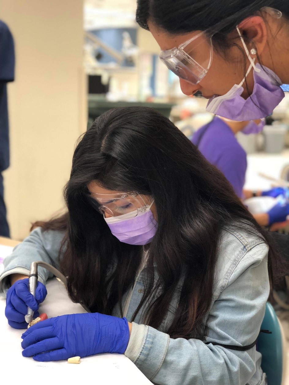 Student using dental probe under observation